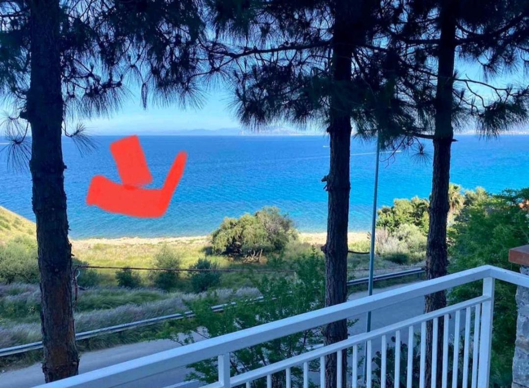 Villa'S Apartment On The Beach, Swimming Pool A/C Palermo Exteriör bild